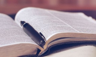 我的爱情美文（我的爱情美文摘抄）