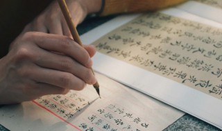 沿用的意思是什么 沿用和采用的区别和意思