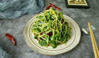 拌黑豆苗的做法（拌黑豆苗的做法大全）