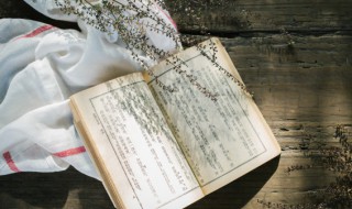 诵怎么组词（诵怎么组词两个字）