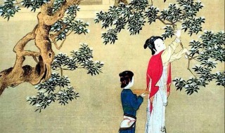 士也罔极二三其德什么意思(士也罔极二三其德)