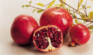 石榴英语怎么说 十六英语怎么说