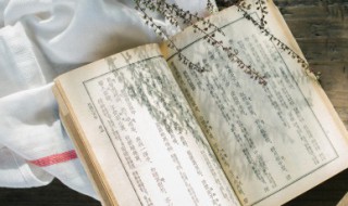 怀念父亲的重阳节诗句 重阳节思念父亲的诗句