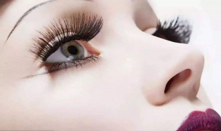 防晒或隔离天天都要用么 隔离和防晒必须每天都用吗