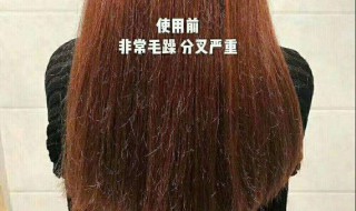 头发毛躁爆炸一样怎么办 头发毛躁爆炸一样怎么办呢