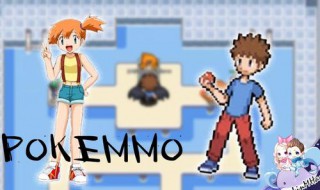 pokemmo新手攻略（pokemmo新手攻略顺序）