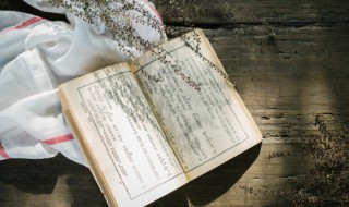 写公园的句子唯美 描写公园的唯美句子