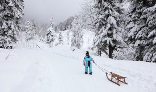 配雪景的唯美文字（配雪景的唯美文字幼儿）