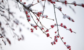 发抖音雪景的句子（雪景发抖音配一句话）