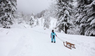 雪景发朋友圈配的短句子（雪景朋友圈短句配文）