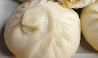 茴香苗素包子如何做（茴香苗素包子如何做才好吃）