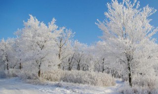 适合初雪发的文案 适合初雪发的文案文艺范