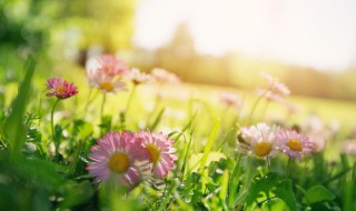 朋友圈点赞高的句子(朋友圈点赞高的说说)