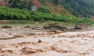 遇到泥石流正确做法是什么（遇到泥石流正确做法是什么往下吗）