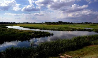 描写塞边夜景的句子 描写塞边夜景的句子有哪些