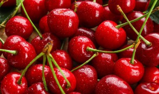 车厘子一天吃多少最好 车厘子一天吃多少比较好