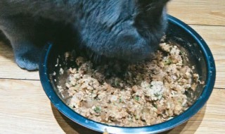 猫饭制作简单便宜（自制猫饭便宜）