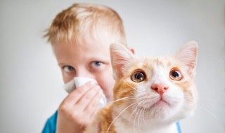 牛磺酸猫每天都要吃吗（牛磺酸猫每天都要吃吗）