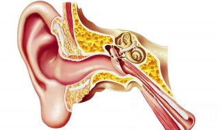 耳屎掏不出来怎么办 小孩耳屎掏不出来怎么办