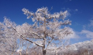 有关于冬天的优美段落（有关于冬天的优美段落摘抄60字）