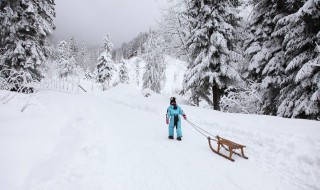 下雪孤单伤感的句子 下雪孤单伤感的句子短句