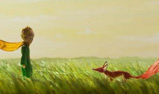 小王子中关于友情的句子 小王子中关于友情的句子有哪些