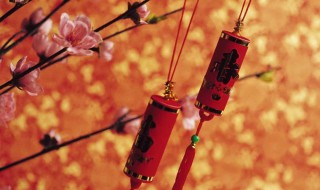 描写春节的片段作文优秀 描写春节的片段作文优秀范文