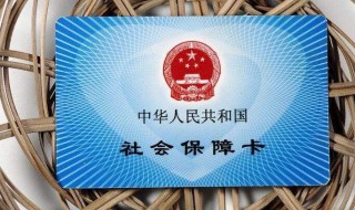 社保卡怎么查询缴费记录 上海社保卡怎么查询缴费记录