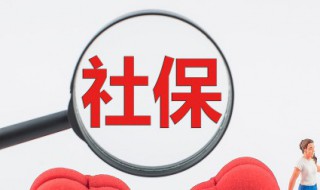 社保账户余额怎么查询 上海社保账户余额怎么查询