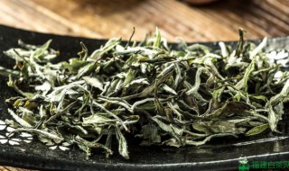 女人喝白茶好处 女人喝白茶好处多吗