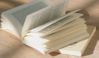 己卯岁除的意思 己卯岁是什么意思