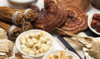 何首乌泡水喝的功效与作用 何首乌泡水喝的功效与作用及食用方法