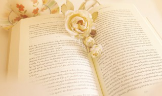 以管窥天以蠡测海的意思（以管窥天以蠡测海的意思是什么）