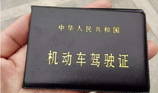 申请电子驾照有什么用 申请电子驾照有什么用途