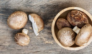 香菇菜心怎么做好吃（香菇菜心怎么做好吃简单）