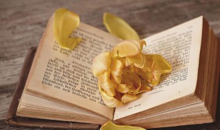 互为倒数是什么意思 xy互为倒数是什么意思