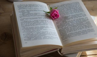 行不更名坐不改姓的意思（行不改名,坐不改姓的意思）