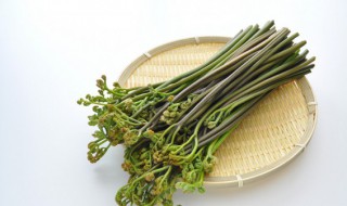 蕨菜炒腊肉的做法 蕨菜炒腊肉的做法大全