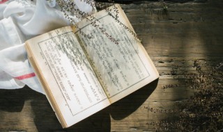 紫的部首是什么怎么读（紫的部首是什么怎么读音）