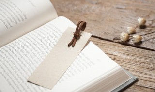 钟石的意思（钟石是什么意思）