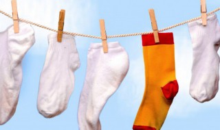 shorts怎么读 shirt怎么读