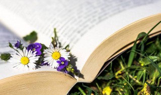 馑怎么读(谨怎么读什么意思)