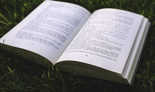 泷怎么读(这个字泷怎么读)