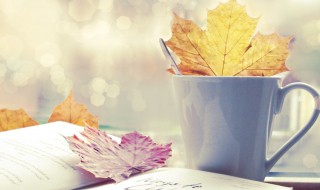 皇天无亲惟德是辅的意思 皇天无亲唯德是辅翻译