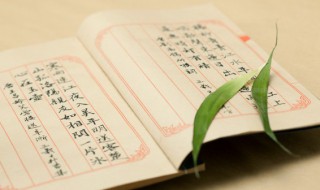 朊怎么读(玉米朊怎么读)