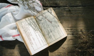 春风一度的意思 春风有度的意思