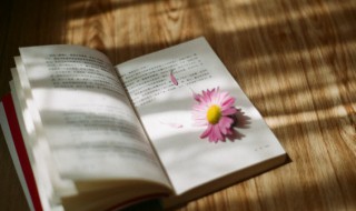 嘲组词（嘲组词组）