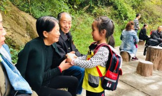 重阳节活动有感（重阳节系列活动心得体会）