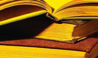 我与祖国共成长作文 我与祖国共成长作文600字