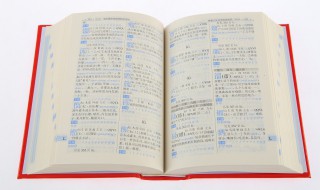 赔组词（培组词）